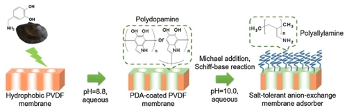 Application Of Membrane Chromatography in Downstream Protein Purification